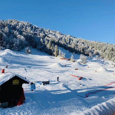 Apartment In Morzine - Ski In - Sleeps 6 Luaran gambar